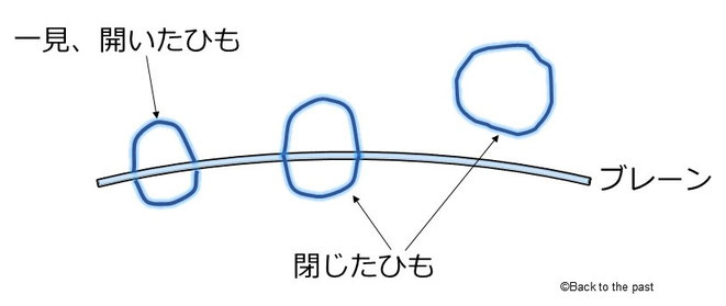 閉じた弦は膜にはさまれると開いた弦に見える