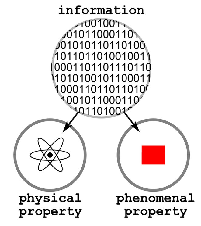 情報の二相理論のイメージ/Wikimedia Commonsより