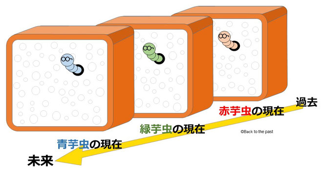 それぞれの芋虫にとっての「今」は異なる