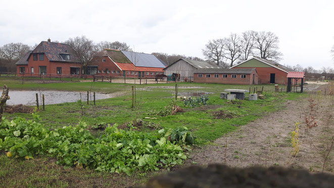 moestuinclubmarkelo-moestuinenvoorkinderen-roudaalterweg20-twentsescharrel.nl