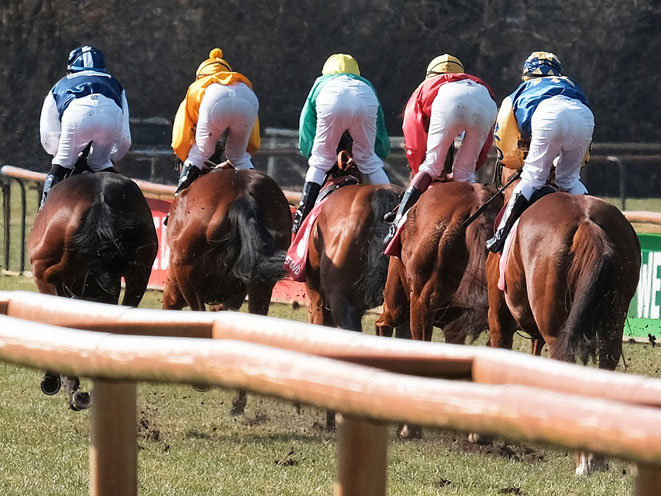 Rennpferde im Rennen 