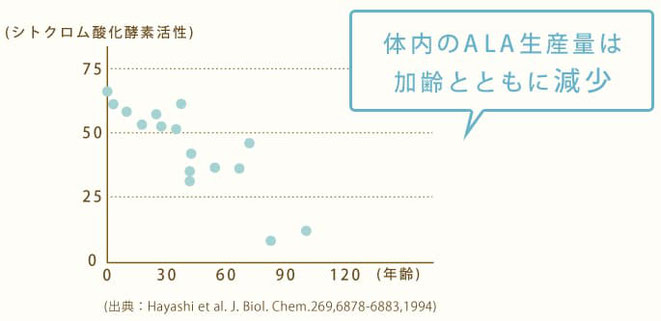 体内のALA生産量は加齢とともに減少