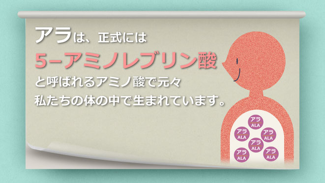 5-ALA（アラ）は5-アミノレブリン酸と呼ばれるアミノ酸で元々私たちの体の中で生まれています。ALA　5-ALA