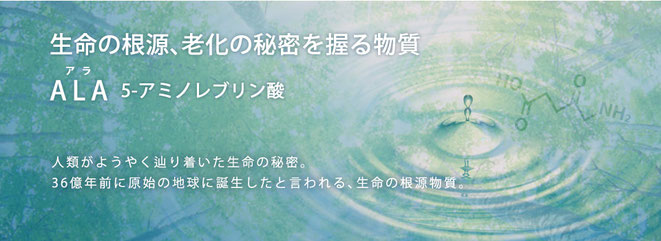 生命の根源、老化の秘密を握る物質　5-ALA 5-アミノレブリン酸　ファイブアラ　ファイブ・エーエルエー