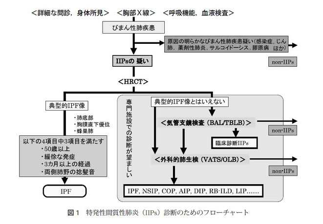 間質性肺疾患診療マニュアル(改訂第3版) Amazon.co.jp: 間質性肺疾患診療マニュアル(改訂第3版) : 久保