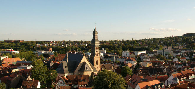 Aktuelles Panoramafoto Hofheim