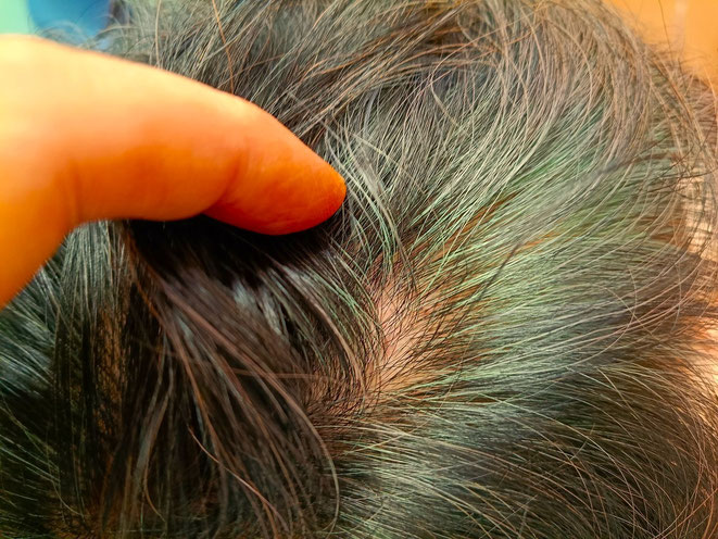 HQヘナとシコン色で2度染め