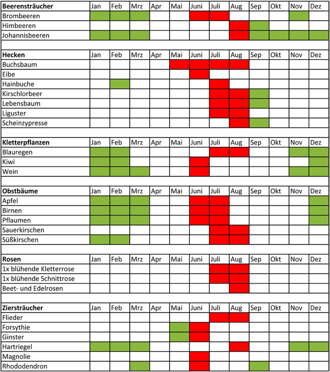 Garten Pflanzen Kalender Test 6