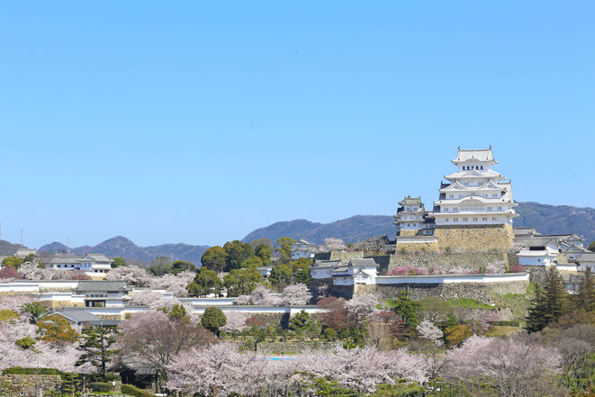 行政書士ふくろう事務所代表の出身地、兵庫県の姫路城。