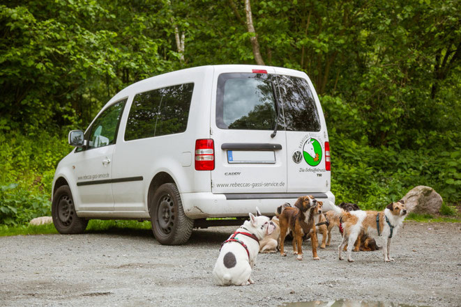 Gassi Auto von Rebecca