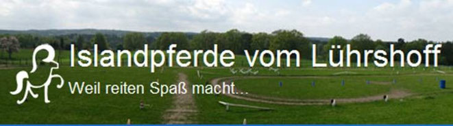 Islandpferde vom Lührshoff