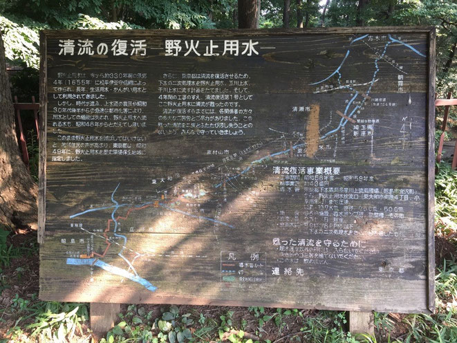 Information of Nobidomeyosui waterway Restreaming canal aqueduct nature healing toursit spot TAMA Tourism Promotion - Visit Tama　野火止用水　清流の復活　案内板　東京都東村山市　自然　癒し　観光スポット　多摩観光振興会