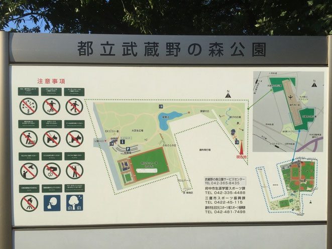 Guide Map of Musashino no mori Park Tokyo Mitaka Chofu Fuchu walking picnic historical tourist spot TAMA Tourism Promotion - Visit Tama　都立武蔵野の森公園　東京都三鷹市　調布市　府中市　散策　ピクニック　歴史　観光スポット　多摩観光振興会