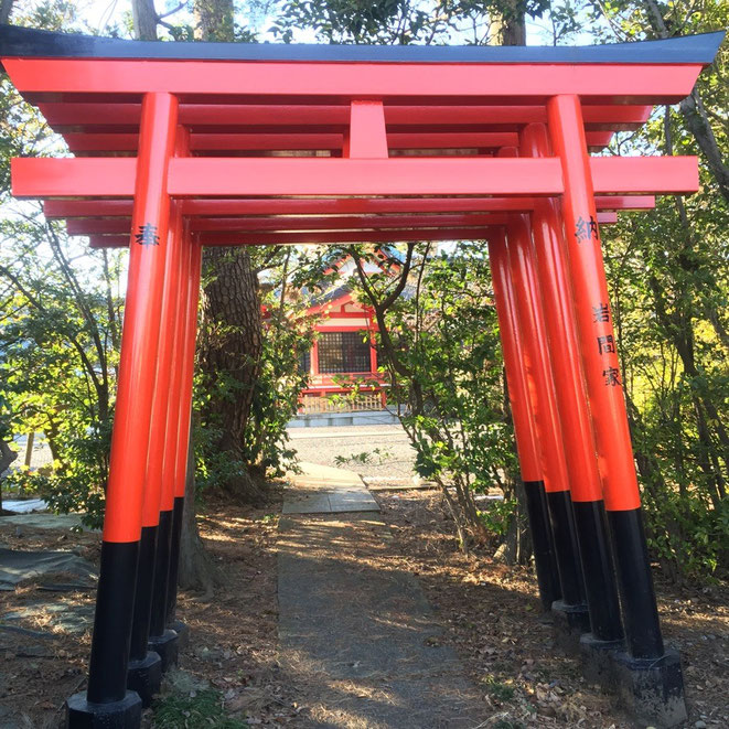 Inside of Higashifushimiinari Shrine Tokyo Nishitokyo powerspot good luck bonheur tourist spot TAMA Tourism Promotion - Visit Tama　東伏見稲荷神社　境内　東京都西東京市　ご利益　パワースポット　観光スポット　多摩観光振興会