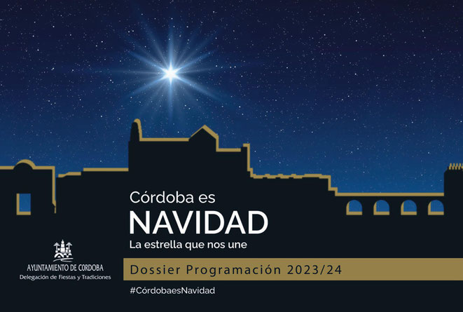 Programa de Navidad