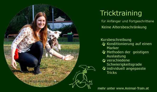 Tricktraining, Hundetrick, Welpentraining, Hundeschule Animal Train, Hundetraining, Linz Land, Neuhofen