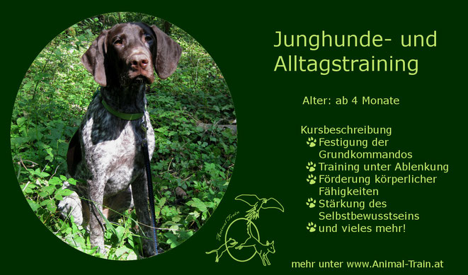 Welpenschule, Welpentraining, Hundeschule Animal Train, Hundetraining, Linz Land, Neuhofen