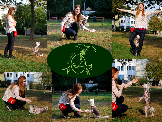Sarah Lehner - Animal Train - Tricktraining