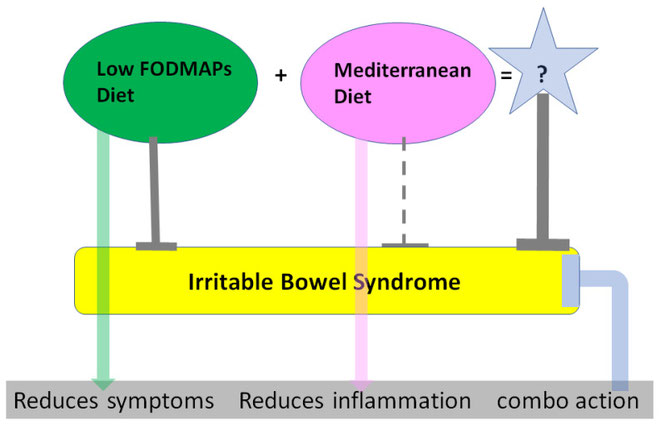 Abb2: Eine perfekte Ergänzung: Während die low-FODMAP-Diät Symptome wie Bauchschmerzen und Blähungen beim Reizdarm lindert, reduziert die Mittelmeerkost Entzündungen und gleicht die negativen Wirkungen der LFD auf die Darmflora und Ernährungsqualität aus.