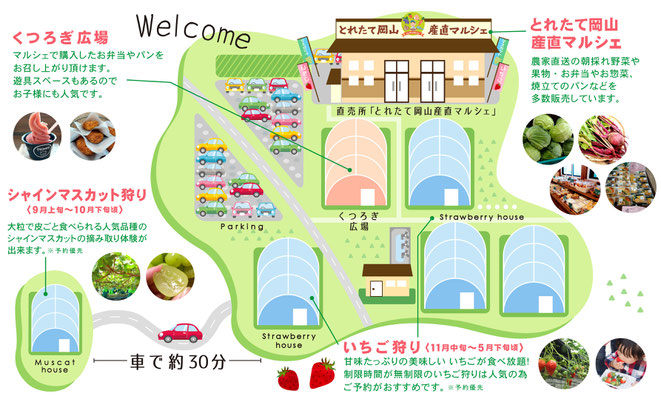 岡山でくだもの狩り いちご狩りなら 岡山フルーツ農園 岡山でくだもの狩り いちご狩りなら 岡山フルーツ農園