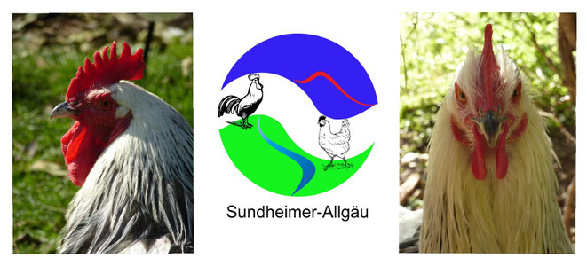 sundheimer-allgaeu Webseite!