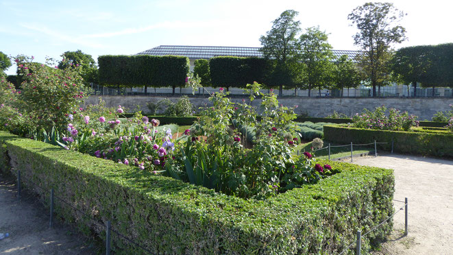   ５月下旬だというのに、花の少ない花壇。うしろの建物はモネの「睡蓮」で有名なオランジュリ美術館。