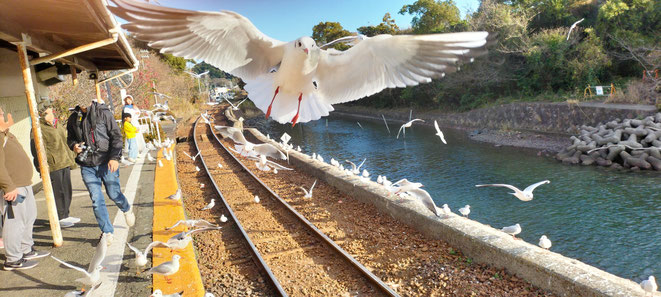 2023.12.28 天竜浜名湖鉄道 浜名湖佐久米駅にて