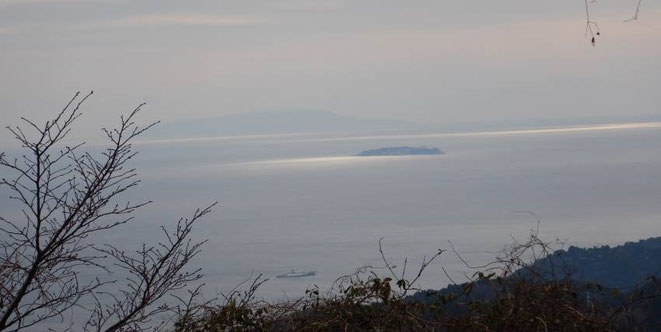 浮かぶ船、初島、伊豆大島