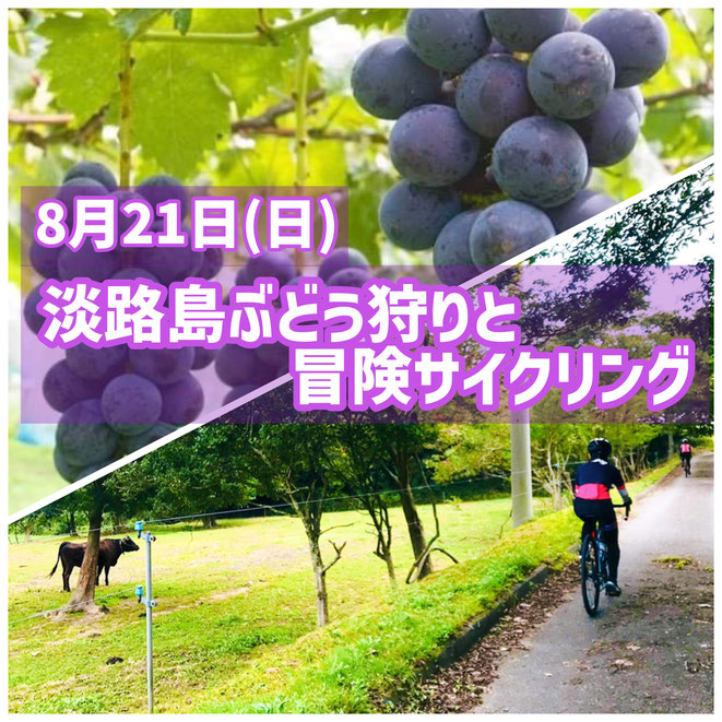 淡路島　自転車　SUP