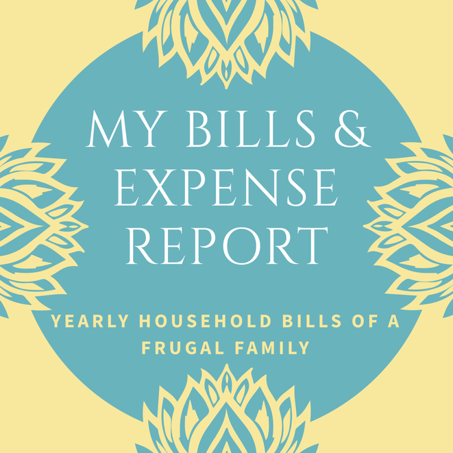 Bills and expense budget, report, income expenditure, yearly spending, household bills, Yearly expenses