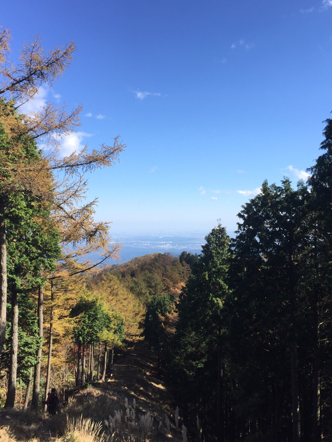 View point to the central Tokyo from the mountain in Western Tokyo Tama hiking trecking nature healing tourist spot Visit Tama Tourism