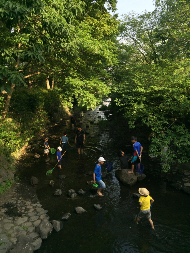 Upper stream point of Kanda river at Inokashira Park Tokyo Mitaka city　神田川上流　井の頭公園　東京都三鷹市