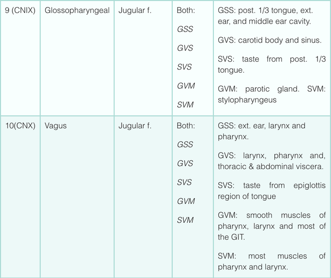 cranial nerve function table