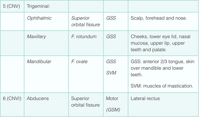 Cranial nerve function V and VI