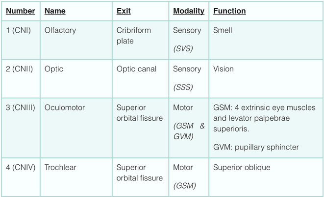 Cranial nerve function I - IV