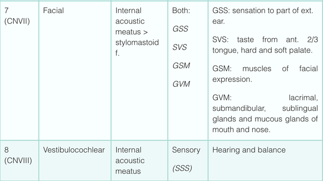 cranial nerve function