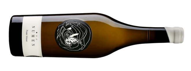 Bio Weingut Johannes Zillinger Numen Fume blanc