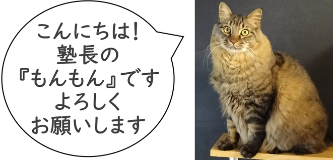 こんにちは！　塾長の『もんもん』です。よろしくお願いします。