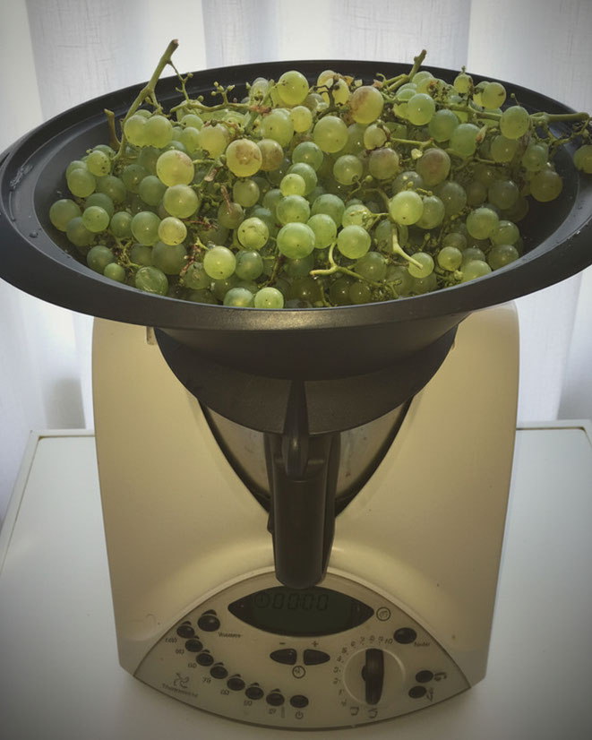 Entsaften Thermomix, Früchte entsaften Thermomix, Trauben entsaften Thermomix