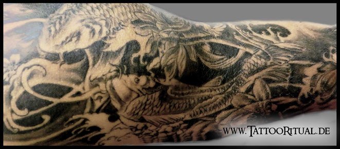 Asiatisches Tattoo Rostock, Tattoo Rostock, Tattoo Koi, Tattoostudio Rostock, bestes Tattoostudio Rostock, TattooRitual