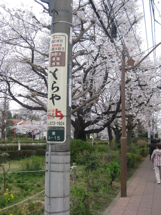 At University Street Tokyo Kunitachi　大学通り　東京都国立市