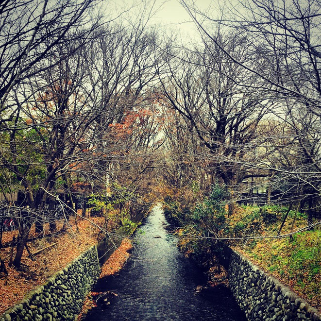 Tamagawajosui Aqueduct at Tamagawajosui station of Tama Monorail & Seibu Haijima Line Tokyo Tachikawa winter nature waterway walking strolling tourist spot TAMA Tourism Promotion - Visit Tama