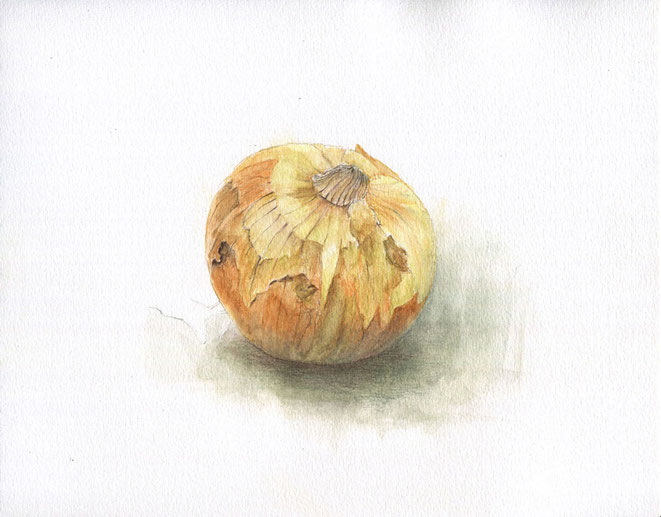 描き方ガイド 水彩色鉛筆で描く玉ねぎ 能見台 絵画教室