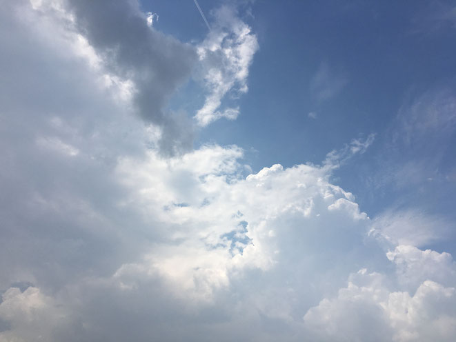 福岡県手乗りインコ小鳥販売店ペットショップミッキン 今日の福岡空港上空 入道雲