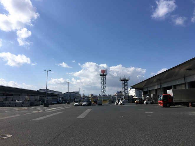 福岡県手乗りインコ小鳥販売店ペットミッキン　２０１６年１１月１２日の福岡空港の写真