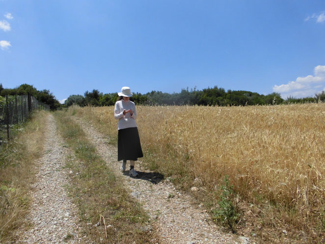 Sur les chemins d'Hypata ...