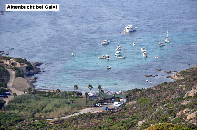 Calvi, Algenbucht