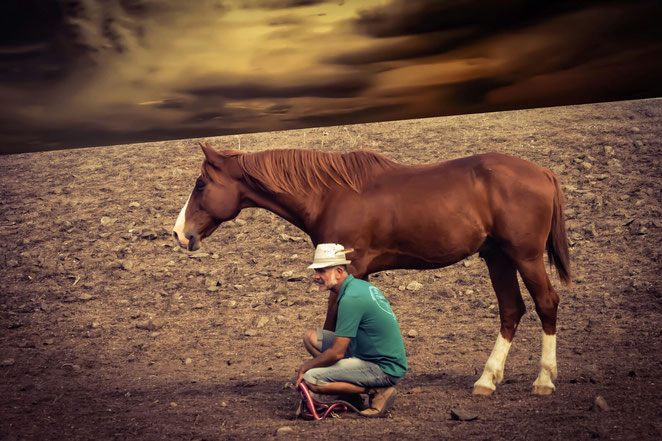 terapia asistida con caballos