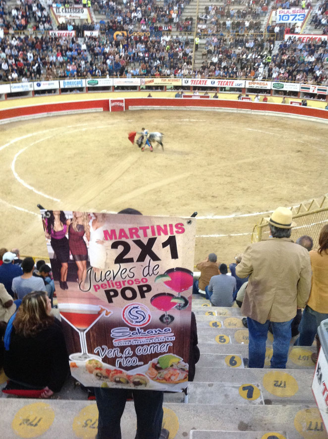 BANER EN CORRIDA DE TOROS 