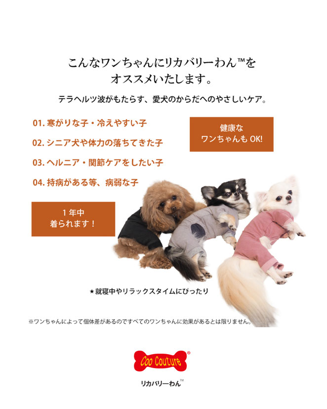 JourFin　ラブリボン　LoveRibbon　りぼん　リボン　リボン教室　リボン教室芦屋　リボン教室神戸　リボンワーク　リボンレッスン　リボンレッスン神戸　リボンワーク　リボンデザイン　リボンレッスン　手仕事　ハンドメイド　リントン　LINTON　リカバリ―わん　リカバリ―わんハーネス　ハーネス　テラヘルツウエアー　テラヘルツ　犬服　ドッグウエアー　ドッグ用品　ドッグアクセサリー　クークチュール　ドッグ服手づくり　